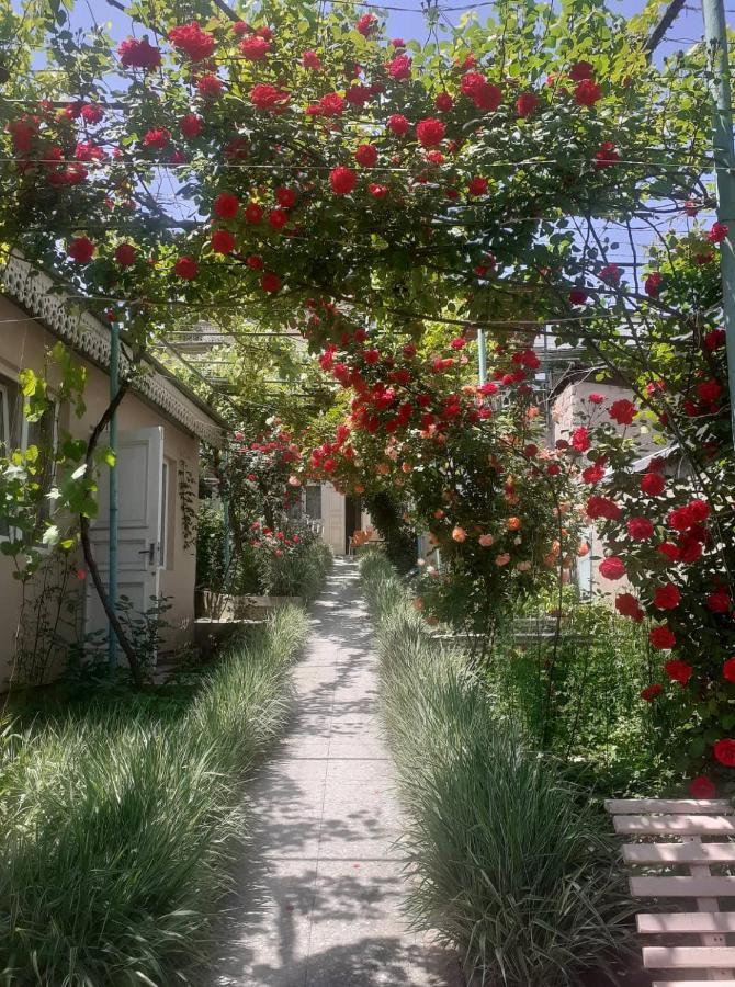 Emma'S Guesthouse In Borjomi Exterior photo