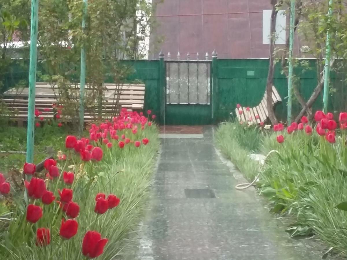 Emma'S Guesthouse In Borjomi Exterior photo